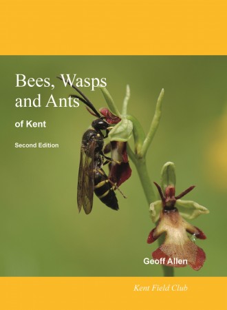 Bees, Wasps and Ants of Kent (2020)